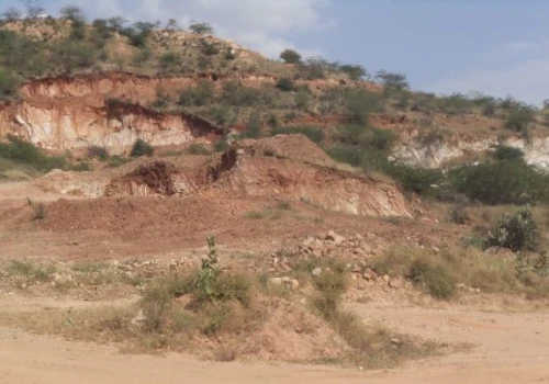 Matruvan Yojana to Transform Aravalli Hills, Plantation to Begin in 3 Villages